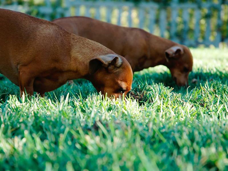 sudoku custom puzzle screenshot 1