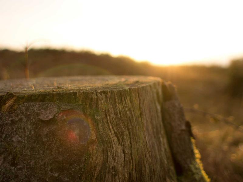 sudoku custom puzzle screenshot 2